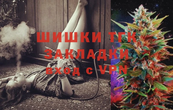 тгк Абинск