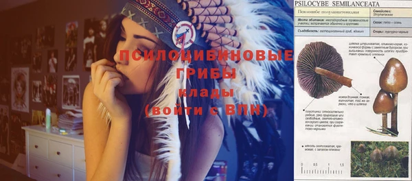 тгк Абинск