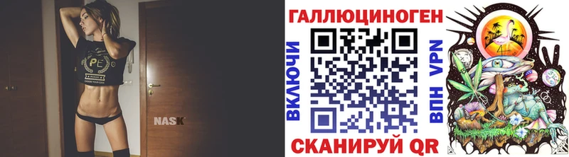 дарк нет состав  Касимов  Псилоцибиновые грибы Psilocybe  где купить наркотик 